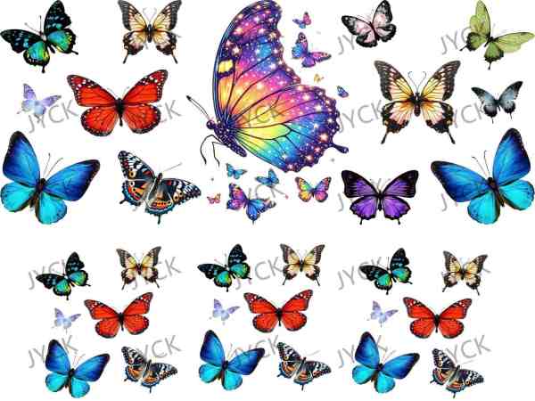 F13565